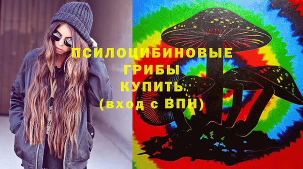 бошки Балахна