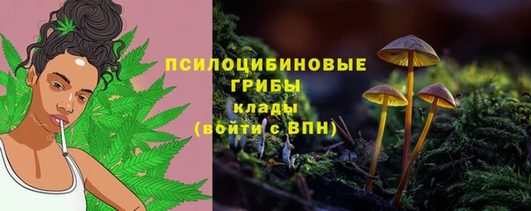 MDMA Premium VHQ Зеленокумск