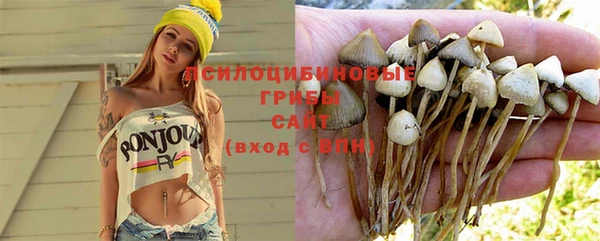 бутират Баксан