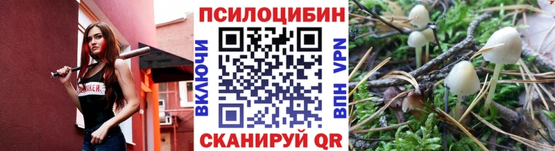Псилоцибиновые грибы прущие грибы Можайск